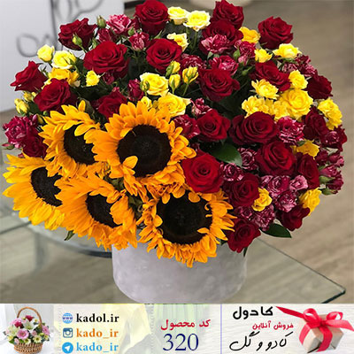 baksegol-320.jpg